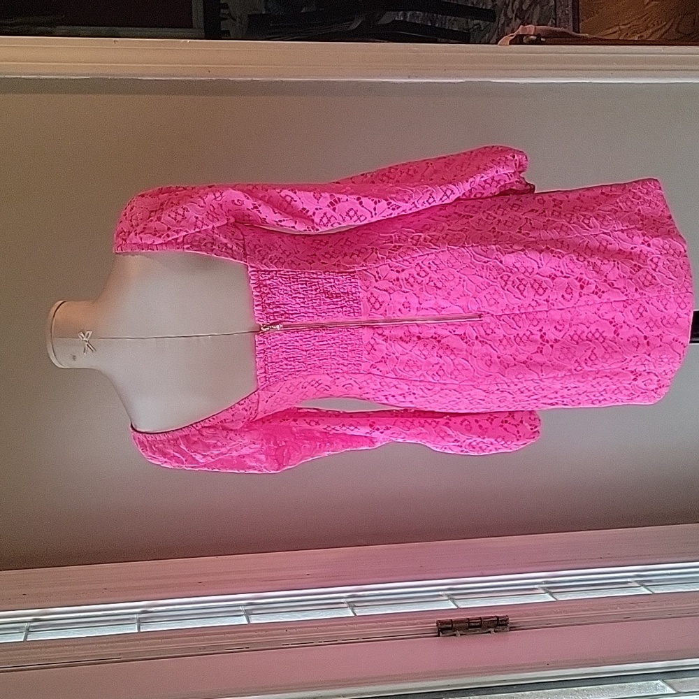 Lilly Pulitzer Pink Lace Dress Size 4 NWT - Picture 2 of 8